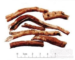 ��ˎĵ��Ƥ�DƬ