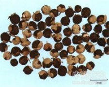 ���~���G��