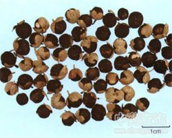 ��ˎ���~���G�ӈDƬ