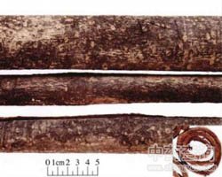 ���Ĺ�Ч�c����