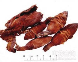 ��㻨�Ĺ�Ч�c����