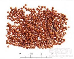 �����ӵĹ�Ч�c����