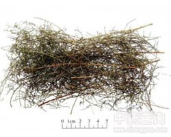 �������Ĺ�Ч�c����