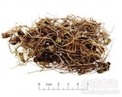 �B�X(qi��n)�ݵĹ�Ч�c����