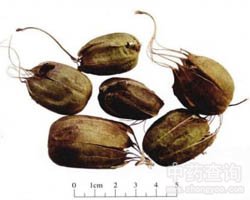 �R��⏵Ĺ�Ч�c����