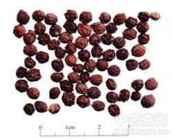 �����Ĺ�Ч�c����