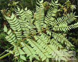 ����h(hu��n)�DƬ