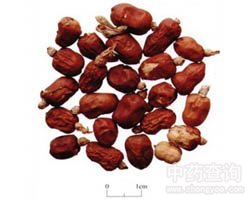 �t���f�Ĺ�Ч�c����