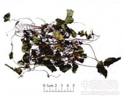 �eѩ�ݵĹ�Ч�c����