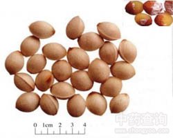 �׹��Ĺ�Ч�c����