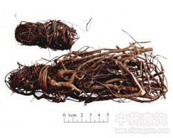 �u�ǲݵĹ�Ч�c����