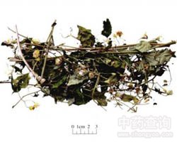 ǧ���Ĺ�Ч�c����