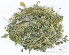 �g���{(l��n)