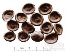 �R�X(qi��n)��