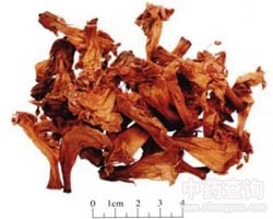 ��ˎ�������Ĺ�Ч�c����