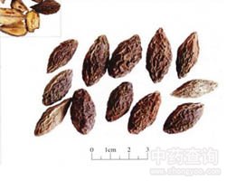 ����Ĺ�Ч�c����