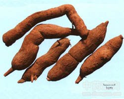 ��ˎ�Ĺ�Ч�c����