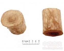 ��ˎ̴��Ĺ�Ч�c����