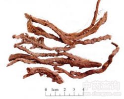 ʯ���ѵĹ�Ч�c����