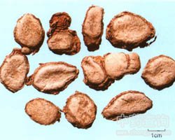 ɽ�͵Ĺ�Ч�c����