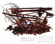 �[��(ji��)�L(f��ng)