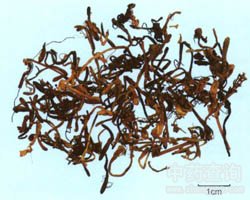 ɽ�y���Ĺ�Ч�c����