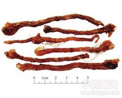 ����Ĺ�Ч�c����