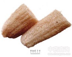 ���z�Ͻj(lu��)�Ĺ�Ч�c����