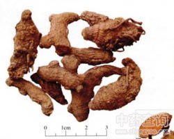 ���S�Ĺ�Ч�c����