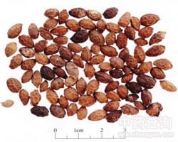 �fđ�ӵĹ�Ч�c����