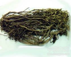 ��ˎϪ�S�݈DƬ