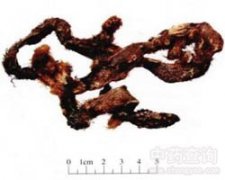 �����a(b��)