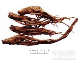 ��(d��ng)�w