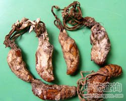 ��ˎ�s���DƬ