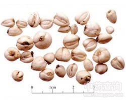 ��ؐĸ�Ĺ�Ч�c����