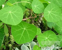 ��ˎ�ز��݈DƬ