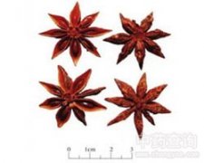 �˽�����