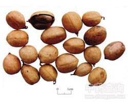 �Ͷ��Ĺ�Ч�c����