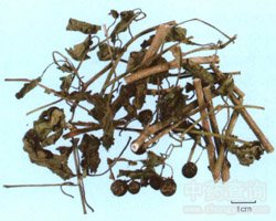 ��Ӣ�Ĺ�Ч�c����