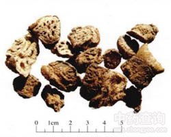 ź��(ji��)�Ĺ�Ч�c����