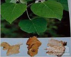 ��ˎ�ױ��~���DƬ