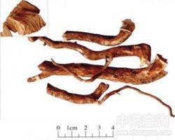 ��ɽ�Ĺ�Ч�c����