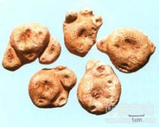 ���~����