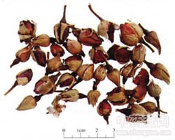 �¼����Ĺ�Ч�c����