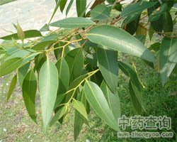 ��ˎ���~���~�DƬ