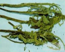 ���L(f��ng)��