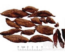 ����Ĺ�Ч�c����