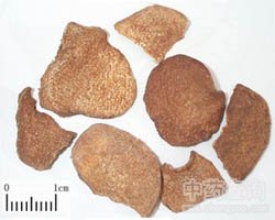 �Sˎ�ӵĹ�Ч�c����