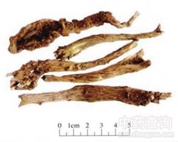 �S�˵Ĺ�Ч�c����