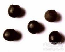 �o(w��)����